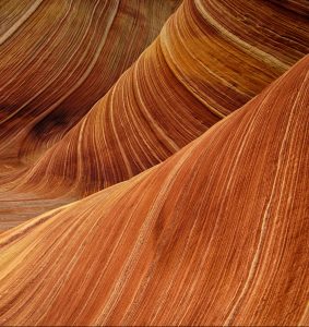 The wave