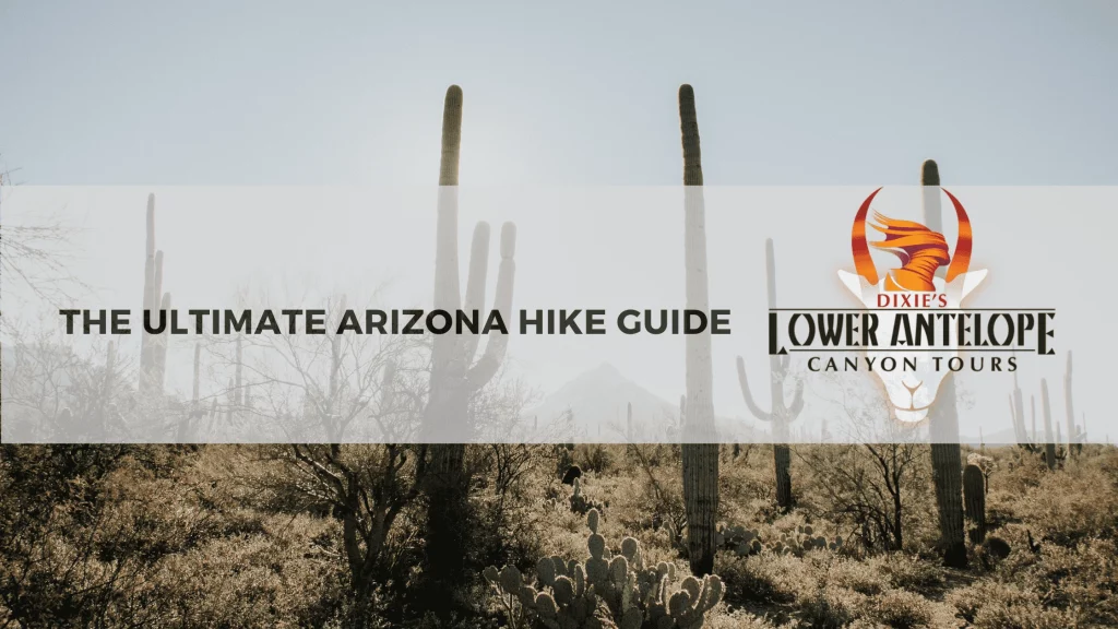 Ultimate Arizona Hike Guide