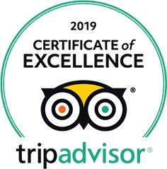 tripadvisor logo award